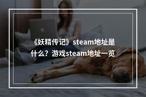 《妖精传记》steam地址是什么？游戏steam地址一览