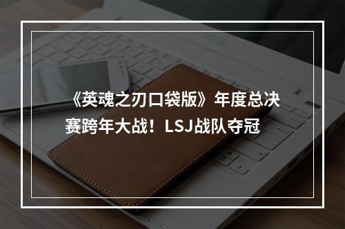 《英魂之刃口袋版》年度总决赛跨年大战！LSJ战队夺冠