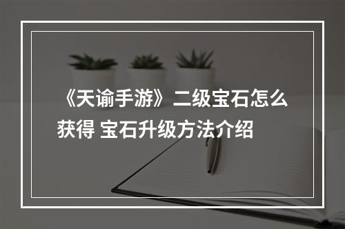 《天谕手游》二级宝石怎么获得 宝石升级方法介绍