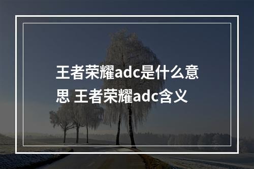 王者荣耀adc是什么意思 王者荣耀adc含义