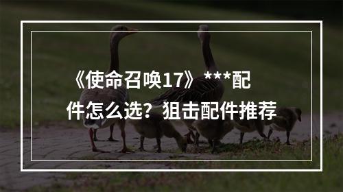 《使命召唤17》***配件怎么选？狙击配件推荐