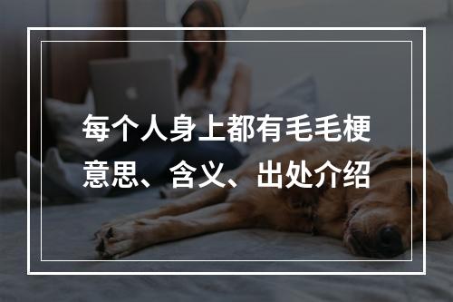 每个人身上都有毛毛梗意思、含义、出处介绍