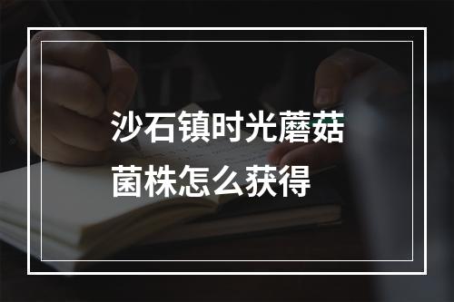 沙石镇时光蘑菇菌株怎么获得