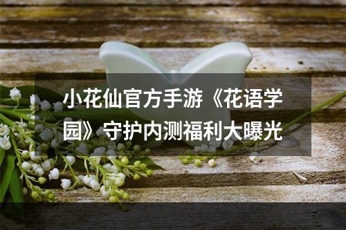 小花仙官方手游《花语学园》守护内测福利大曝光