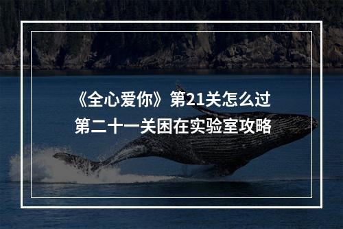 《全心爱你》第21关怎么过 第二十一关困在实验室攻略