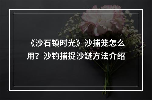 《沙石镇时光》沙捕笼怎么用？沙钓捕捉沙鲢方法介绍