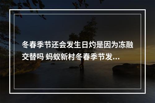 冬春季节还会发生日灼是因为冻融交替吗 蚂蚁新村冬春季节发生日灼