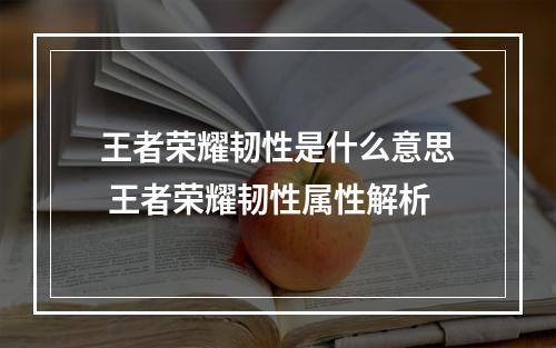 王者荣耀韧性是什么意思 王者荣耀韧性属性解析