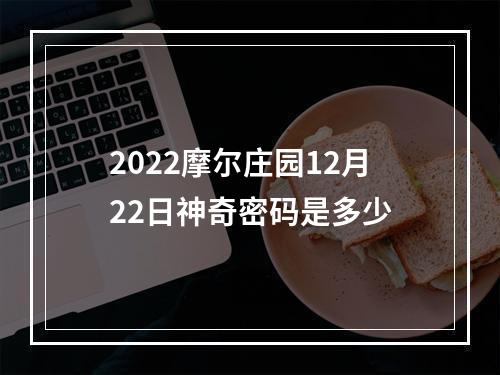 2022摩尔庄园12月22日神奇密码是多少