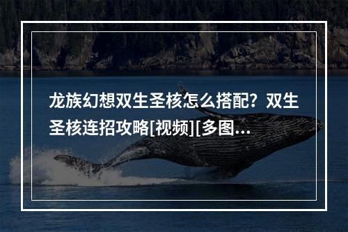 龙族幻想双生圣核怎么搭配？双生圣核连招攻略[视频][多图]