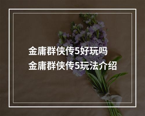 金庸群侠传5好玩吗 金庸群侠传5玩法介绍