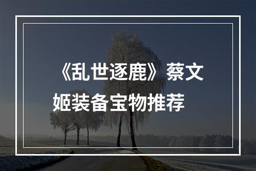 《乱世逐鹿》蔡文姬装备宝物推荐