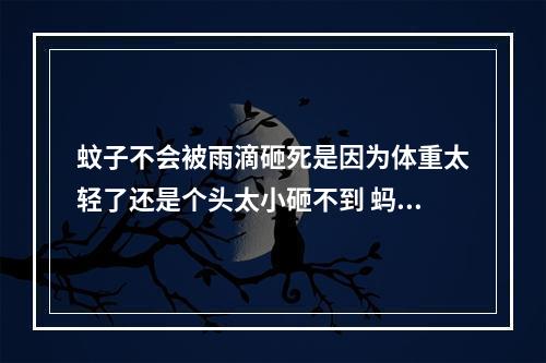 蚊子不会被雨滴砸死是因为体重太轻了还是个头太小砸不到 蚂蚁庄园今日答案6.9