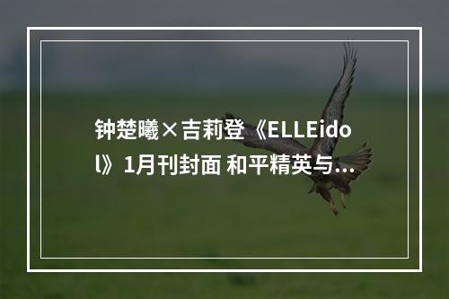 钟楚曦×吉莉登《ELLEidol》1月刊封面 和平精英与大都会艺术博物馆联名新皮肤惊艳亮相