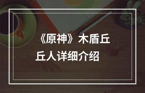 《原神》木盾丘丘人详细介绍