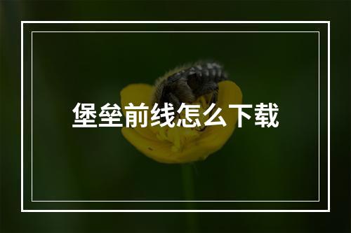 堡垒前线怎么下载