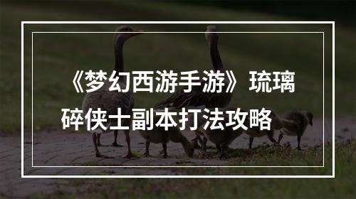 《梦幻西游手游》琉璃碎侠士副本打法攻略