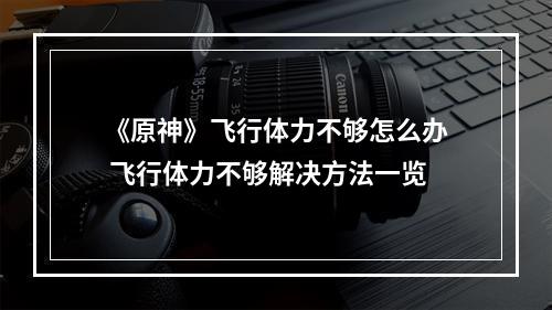 《原神》飞行体力不够怎么办 飞行体力不够解决方法一览