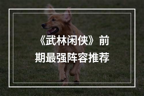 《武林闲侠》前期最强阵容推荐