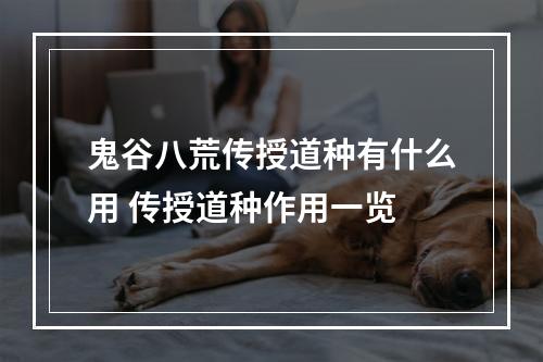 鬼谷八荒传授道种有什么用 传授道种作用一览