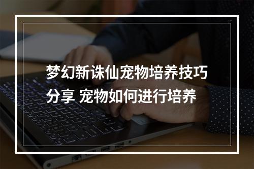 梦幻新诛仙宠物培养技巧分享 宠物如何进行培养