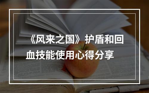 《风来之国》护盾和回血技能使用心得分享