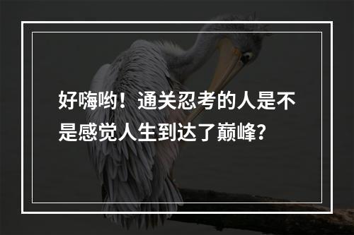 好嗨哟！通关忍考的人是不是感觉人生到达了巅峰？