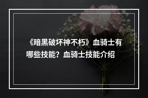 《暗黑破坏神不朽》血骑士有哪些技能？血骑士技能介绍