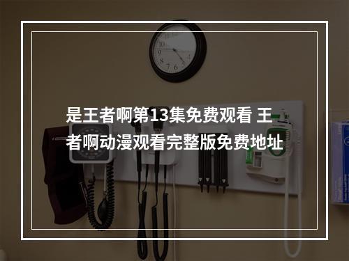 是王者啊第13集免费观看 王者啊动漫观看完整版免费地址