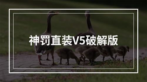 神罚直装V5破解版