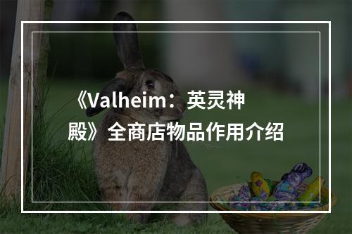 《Valheim：英灵神殿》全商店物品作用介绍