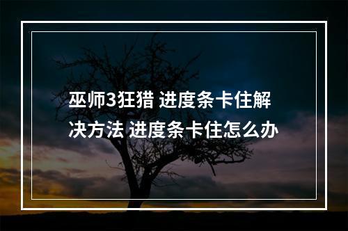 巫师3狂猎 进度条卡住解决方法 进度条卡住怎么办