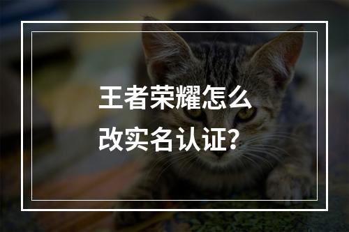 王者荣耀怎么改实名认证？