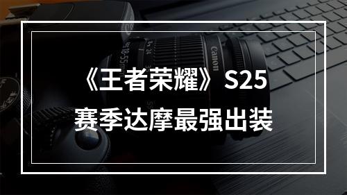 《王者荣耀》S25赛季达摩最强出装