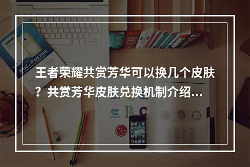 王者荣耀共赏芳华可以换几个皮肤？共赏芳华皮肤兑换机制介绍[多图]