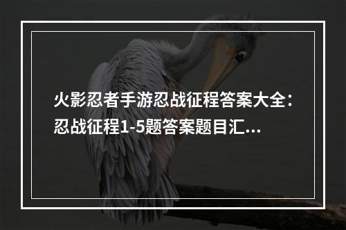 火影忍者手游忍战征程答案大全：忍战征程1-5题答案题目汇总[多图]