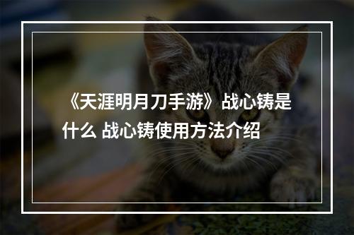 《天涯明月刀手游》战心铸是什么 战心铸使用方法介绍