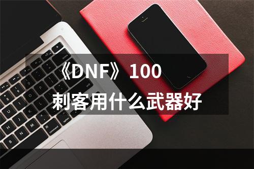 《DNF》100刺客用什么武器好