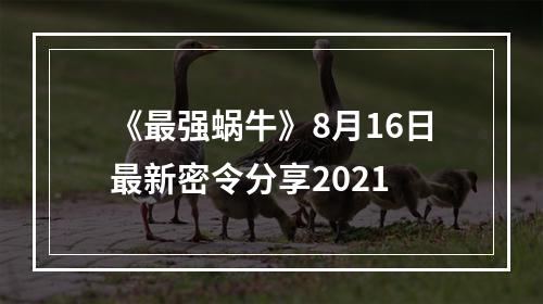 《最强蜗牛》8月16日最新密令分享2021