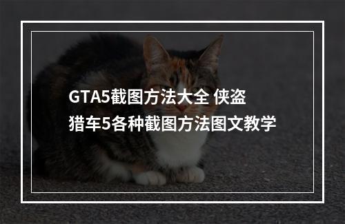 GTA5截图方法大全 侠盗猎车5各种截图方法图文教学