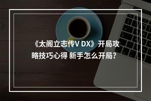 《太阁立志传V DX》开局攻略技巧心得 新手怎么开局？