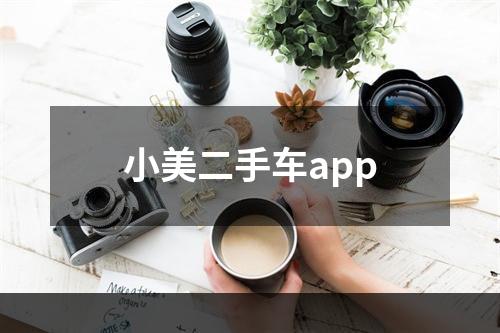 小美二手车app