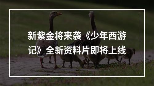 新紫金将来袭《少年西游记》全新资料片即将上线