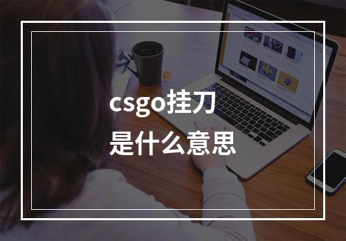 csgo挂刀是什么意思