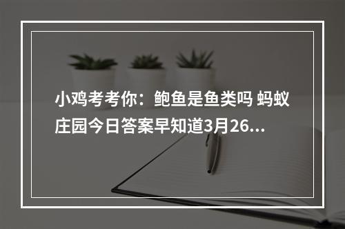 小鸡考考你：鲍鱼是鱼类吗 蚂蚁庄园今日答案早知道3月26日