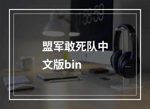 盟军敢死队中文版bin