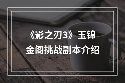 《影之刃3》玉锦金阁挑战副本介绍