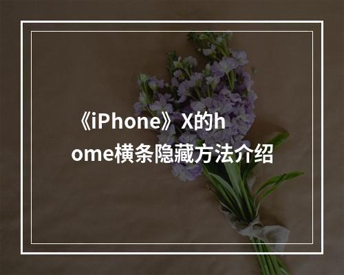 《iPhone》X的home横条隐藏方法介绍