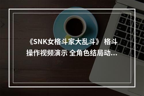 《SNK女格斗家大乱斗》 格斗操作视频演示 全角色结局动画