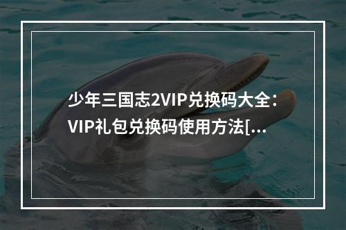 少年三国志2VIP兑换码大全：VIP礼包兑换码使用方法[视频][多图]